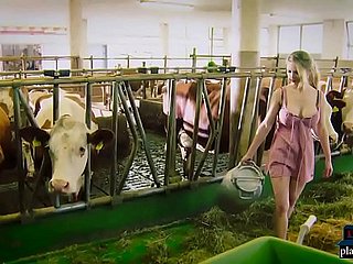 Robô prurient falha e trapaceia em seu mestre em um celeiro