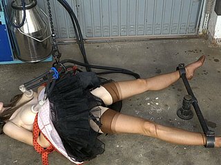 Tetek memerah susu dalam nylon