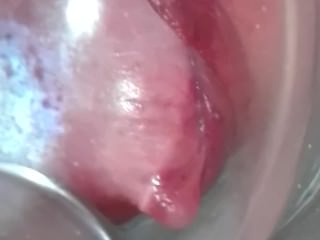 EXTREM PUMPEN (를 meine 프라우 IST GEIL)
