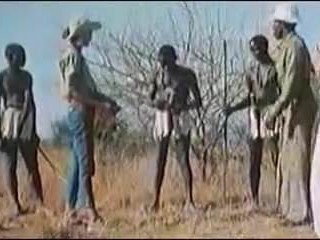MAXI Cocks AFRICANS