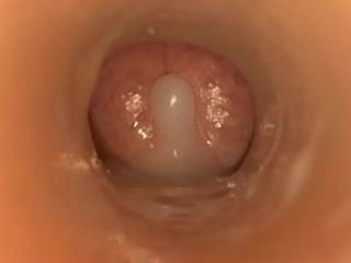Cum ภายใน Fleshlight Scene- Javdiscovery-Com