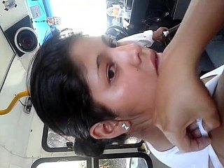 ENCOXCANDO LEGIS leopardo BUS 1