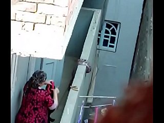 الجنس المصري